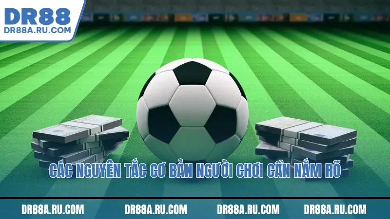 Cách nguyên tắc cơ bản người chơi cần nắm rõ