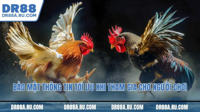 Bảo mật thông tin tối ưu khi tham gia cho người chơi Bảo mật thông tin tối ưu khi tham gia cho người chơi