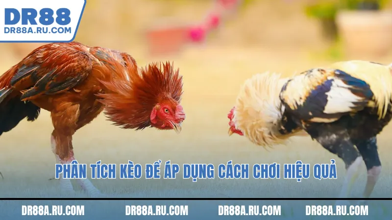 Phân tích kèo để áp dụng cách chơi hiệu quả Phân tích kèo để áp dụng cách chơi hiệu quả