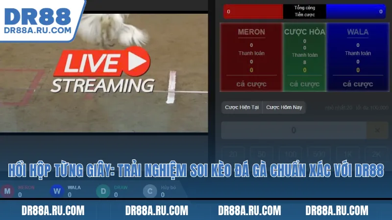 Trận đấu kịch tính: Dự đoán và soi kèo đá gà chuẩn xác ngay tại Dr88 Trận đấu kịch tính: Dự đoán và soi kèo đá gà chuẩn xác ngay tại Dr88